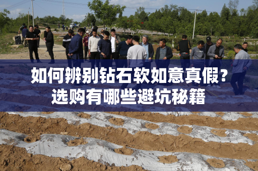 如何辨别钻石软如意真假？选购有哪些避坑秘籍